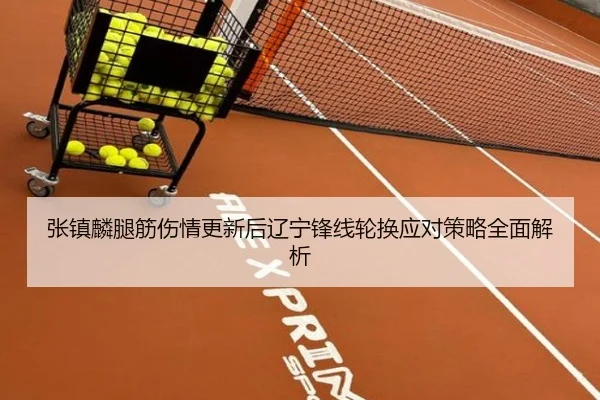 张镇麟腿筋伤情更新后辽宁锋线轮换应对策略全面解析